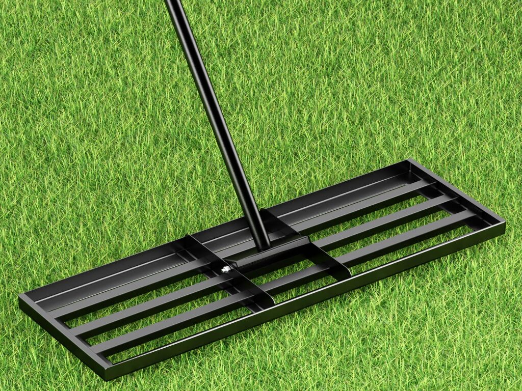 Pelouse après scarification montrant une herbe dense et saine