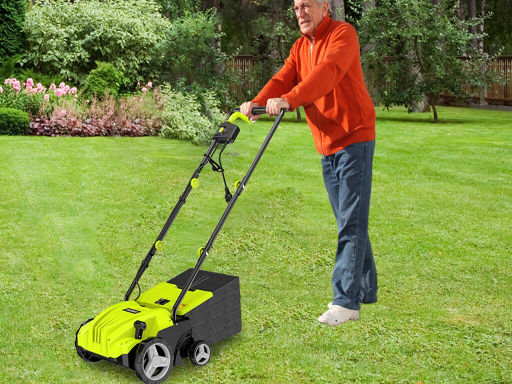 scarifier pelouse humide