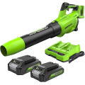 Souffleur À Batterie Greenworks GD24X2ABK2x