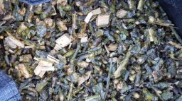 image client 1 Broyeur Végétaux Électrique Einhell GC RS 60 CB