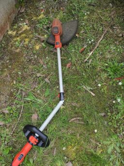 image client 1 Coupe Bordures sans fil Black+Decker BCSTA536B XJ