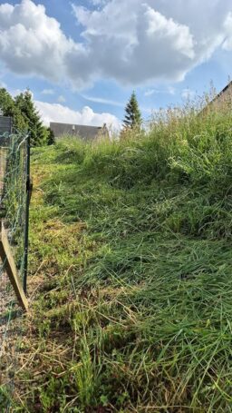 image client 1 Coupe Bordures sans fil WORX WG163E.1