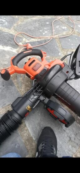 image client 10 Aspirateur Souffleur BLACK+DECKER BEBLV301