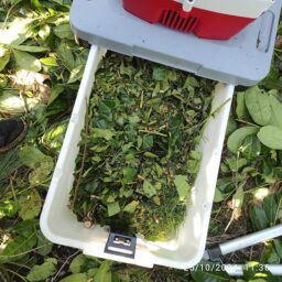 image client 2 Broyeur Électrique Ikra ILH 3000A