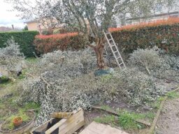 image client 2 Broyeur de Jardin Électrique Gardebruk 106536