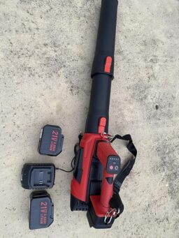 image client 2 Souffleur Batterie Swbsll Akku Laubbläser