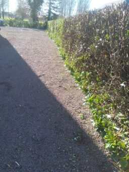 image client 2 Souffleur Axial Filaire Black+decker BEBL185 QS