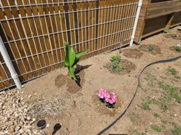 image client 3 Broyeur de Jardin À Turbine Bosch Axt 25 Tc