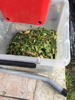 image client 3 Broyeur Végétaux Électrique Einhell GC RS 60 CB