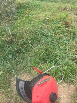 image client 3 Coupe Bordures sans fil Einhell GE CT 18 Li Kit Power X Change