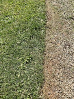 image client 3 Coupe Bordures sans fil WORX Nitro Pack WG173E.9