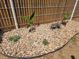 image client 4 Broyeur de Jardin À Turbine Bosch Axt 25 Tc