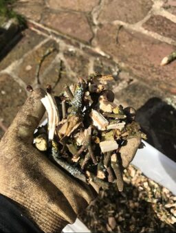 image client 5 Broyeur Électrique Ikra ILH 3000A