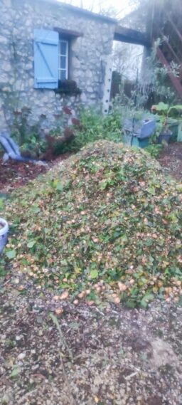 image client 6 Broyeur de Jardin Électrique Gardebruk Végétaux et Branches 3100W