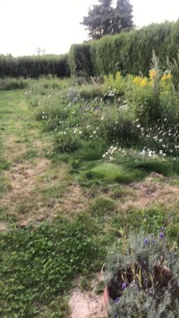 image client 8 Débroussailleuse Thermique Oxeo 62Cm³ 2En1