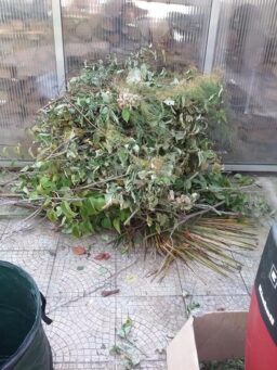 image client 9 Broyeur Végétaux Électrique Einhell GC RS 60 CB