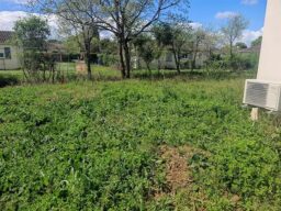 image client 9 Débroussailleuse Thermique Oxeo 62Cm³ 2En1