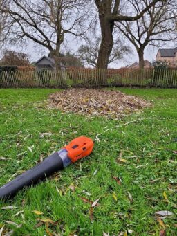 image client 9 Souffleur Axial Filaire Black+decker BEBL185 QS