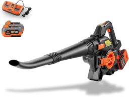 Image du fabricant 1 du FUXTEC Souffleur aspirateur 40 V