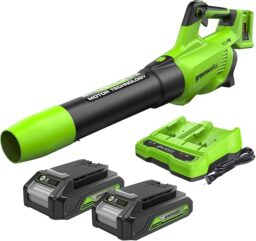 Image du fabricant 1 du Greenworks 48V souffleur batterie