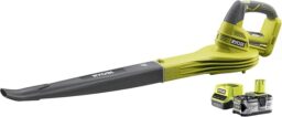 Image du fabricant 1 du Ryobi Souffleur feuilles 18V