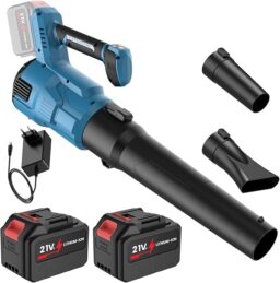 Image du fabricant 1 du Souffleur Batterie 21 V puissant