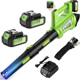 Image du fabricant 1 du Souffleur Batterie 6 Vitesses