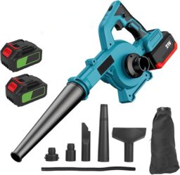 Image du fabricant 1 du Souffleur de Feuilles 21V efficace