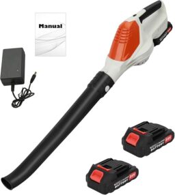 Image du fabricant 1 du Souffleur de feuilles sans fil 24V