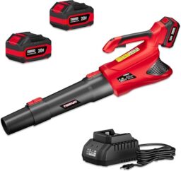 Image du fabricant 1 du Souffleur Feuilles sans Fil 20V