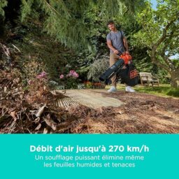 Image du fabricant 2 du BLACK+DECKER souffleur aspirateur 36V