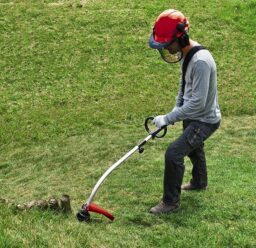 Image du fabricant 2 du Coupe-bordures thermique Einhell GC-PT