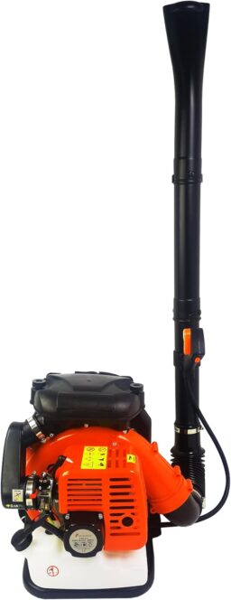 Image du fabricant 2 du Souffleur Dealourus 2019 puissant