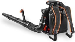 Image du fabricant 2 du Fuxtec Souffleur Feuilles Dos