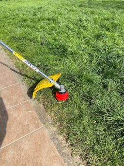 Image du fabricant 2 du Nemura Débroussailleuse thermique légère