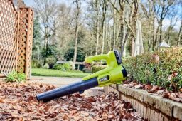 Image du fabricant 2 du RYOBI Souffleur sans Fil 18V One+