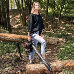 Image du fabricant 2 du Souffleur Aspirateur Broyeur AOSOME