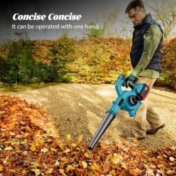 Image du fabricant 2 du Souffleur de Feuilles 21V efficace