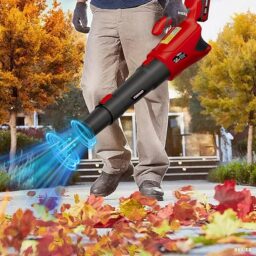 Image du fabricant 2 du Souffleur Feuilles sans Fil 20V