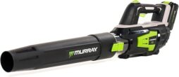 Image du fabricant 2 du Souffleur feuilles sans fil Murray