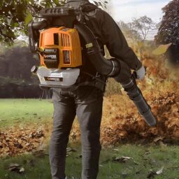 Image du fabricant 2 du Souffleur Thermique Dorsal CHESTER