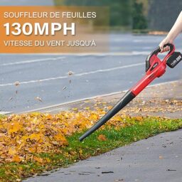 Image du fabricant 2 du TEENO Souffleur de Feuilles 20V