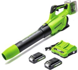 Image du fabricant 3 du Greenworks 48V souffleur batterie