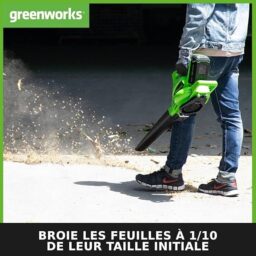 Image du fabricant 3 du Greenworks aspirateur souffleur 40V