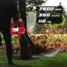 Image du fabricant 3 du LEHMANN Souffleur de Feuilles Thermique