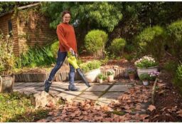 Image du fabricant 3 du Ryobi Souffleur feuilles 18V