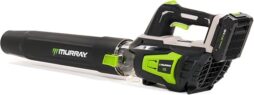 Image du fabricant 3 du Souffleur feuilles sans fil Murray