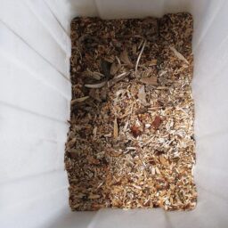 Image du fabricant 4 du Broyeur Gardebruk® 3100W électrique