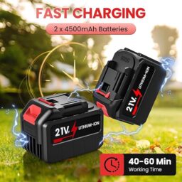 Image du fabricant 4 du Souffleur Batterie 21V compact