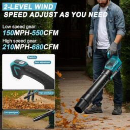 Image du fabricant 5 du Souffleur Batterie 21V portable